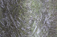 Langhope fibreglass roof work